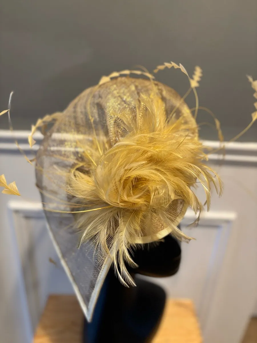 Hats / Hat Hire/ Fascinator’s - Image 2