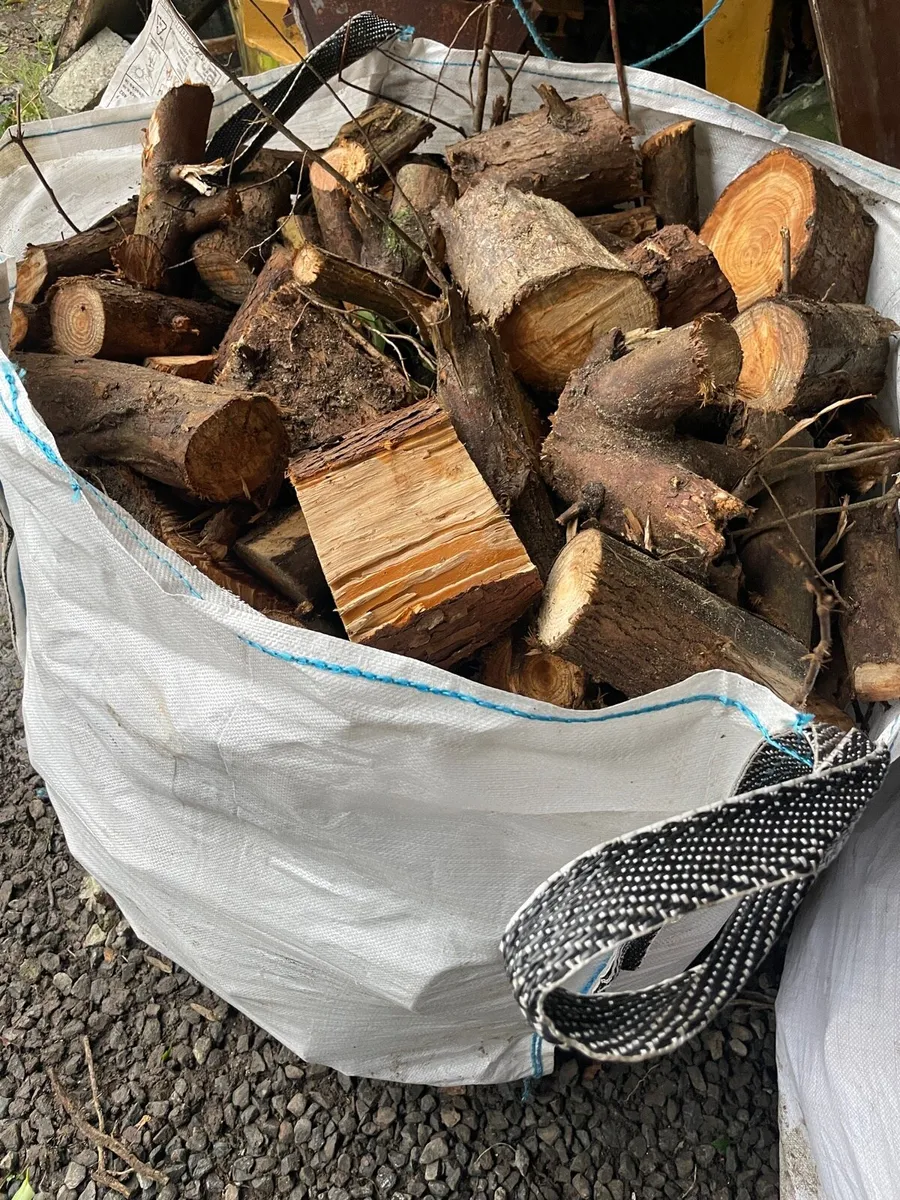 Firewood - Image 1