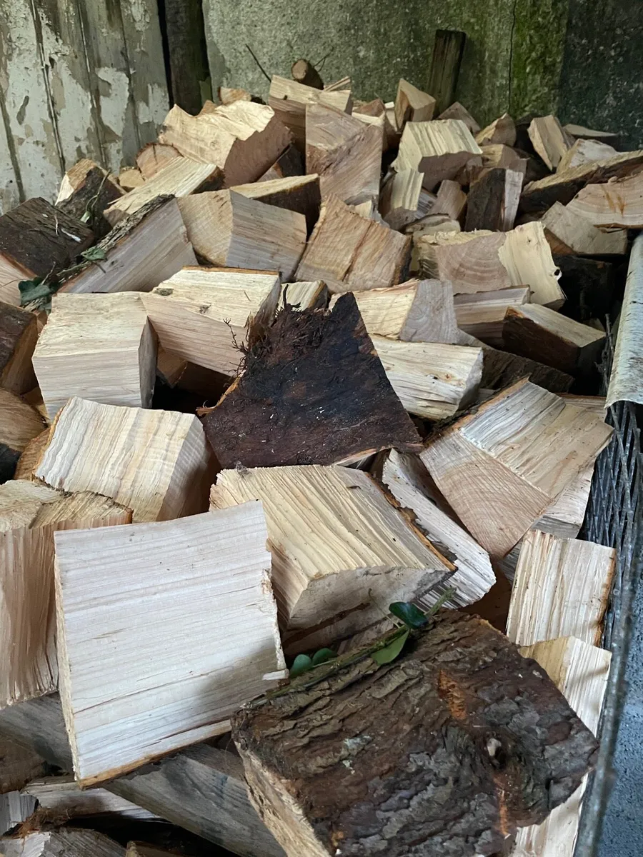 Firewood - Image 4