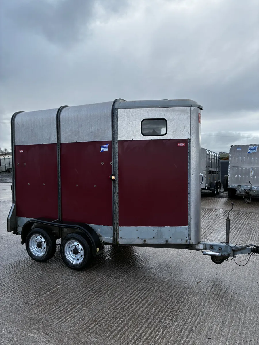 Ifor Williams mare and foal box - Image 1