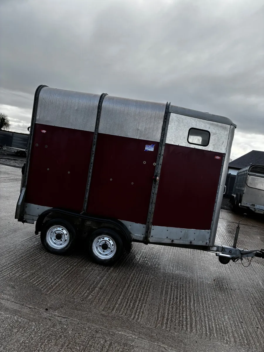 Ifor Williams mare and foal box - Image 2