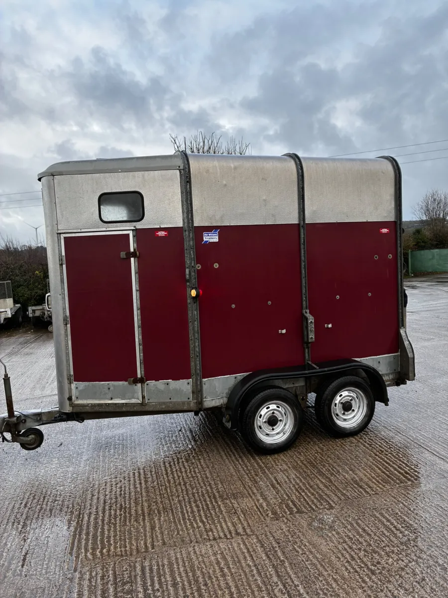 Ifor Williams mare and foal box - Image 4