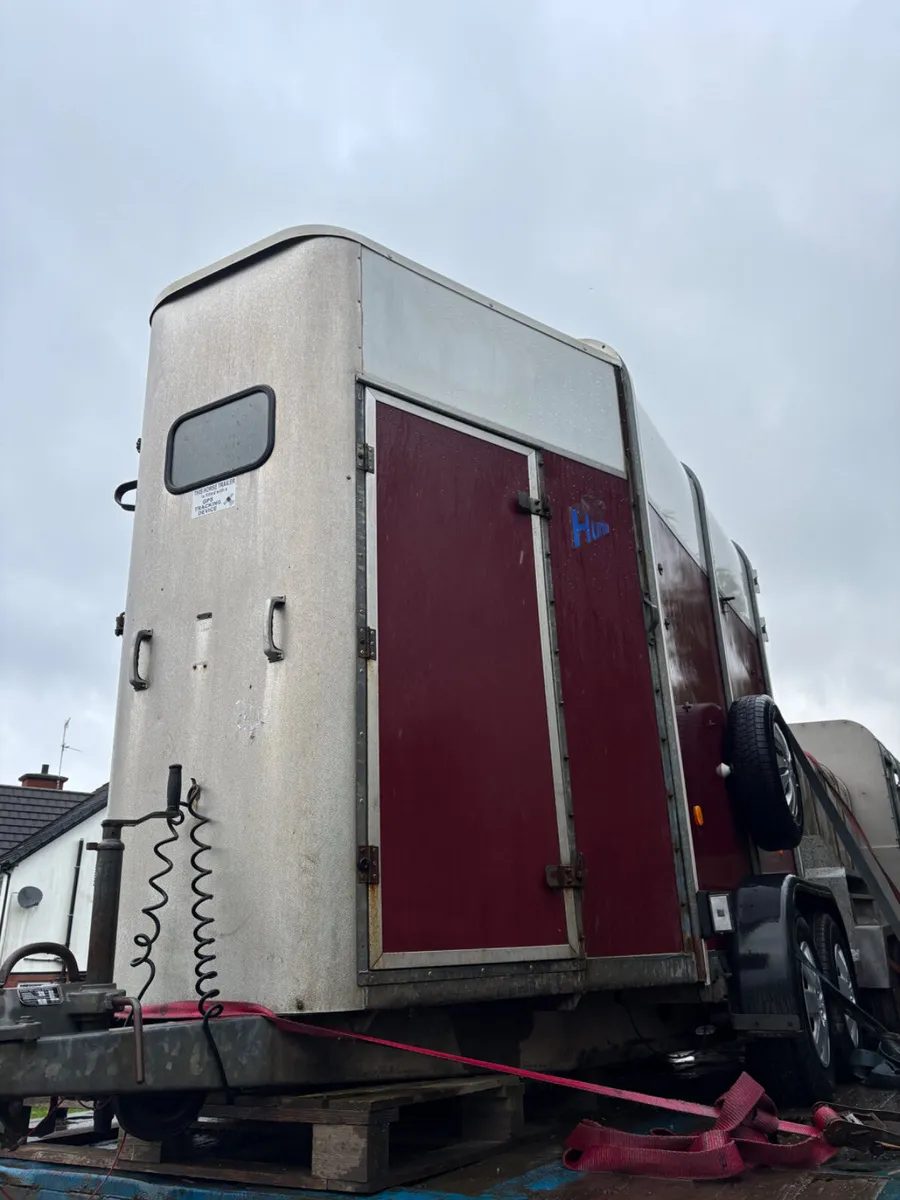 Ifor Williams 505 horse box