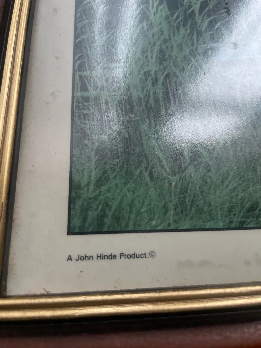 Vintage John Hinde Irish landscape prints. - Image 2