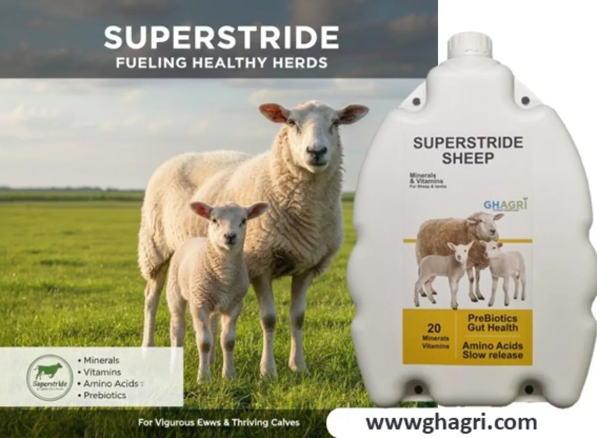 Ultimate Nutrition Boost Slow Release - Image 1