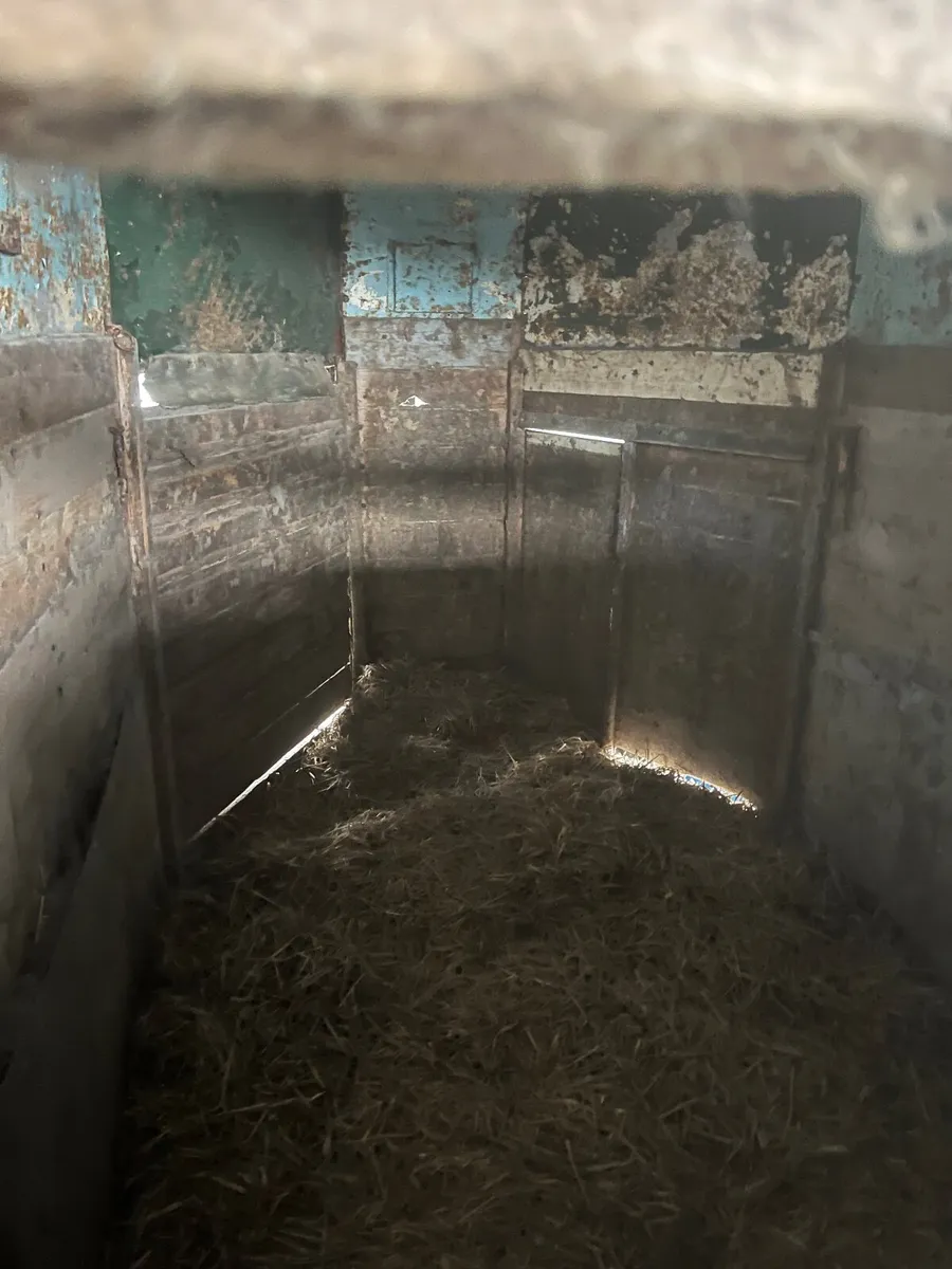 Ride rite double horsebox - Image 2