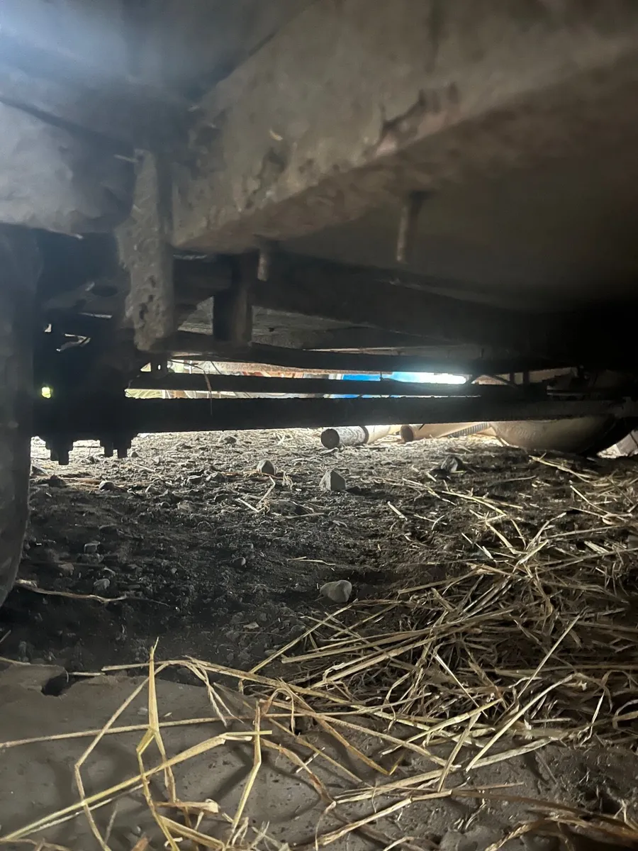 Ride rite double horsebox - Image 3