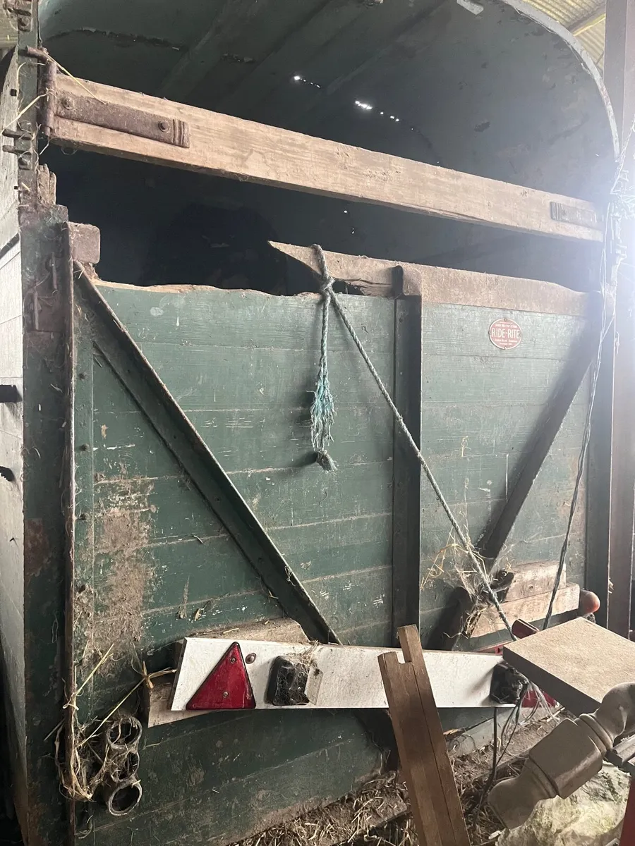 Ride rite double horsebox - Image 4