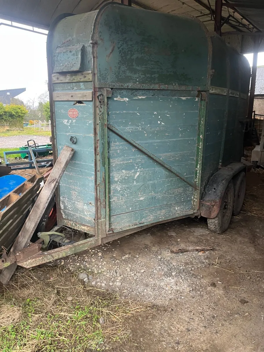 Ride rite double horsebox - Image 1