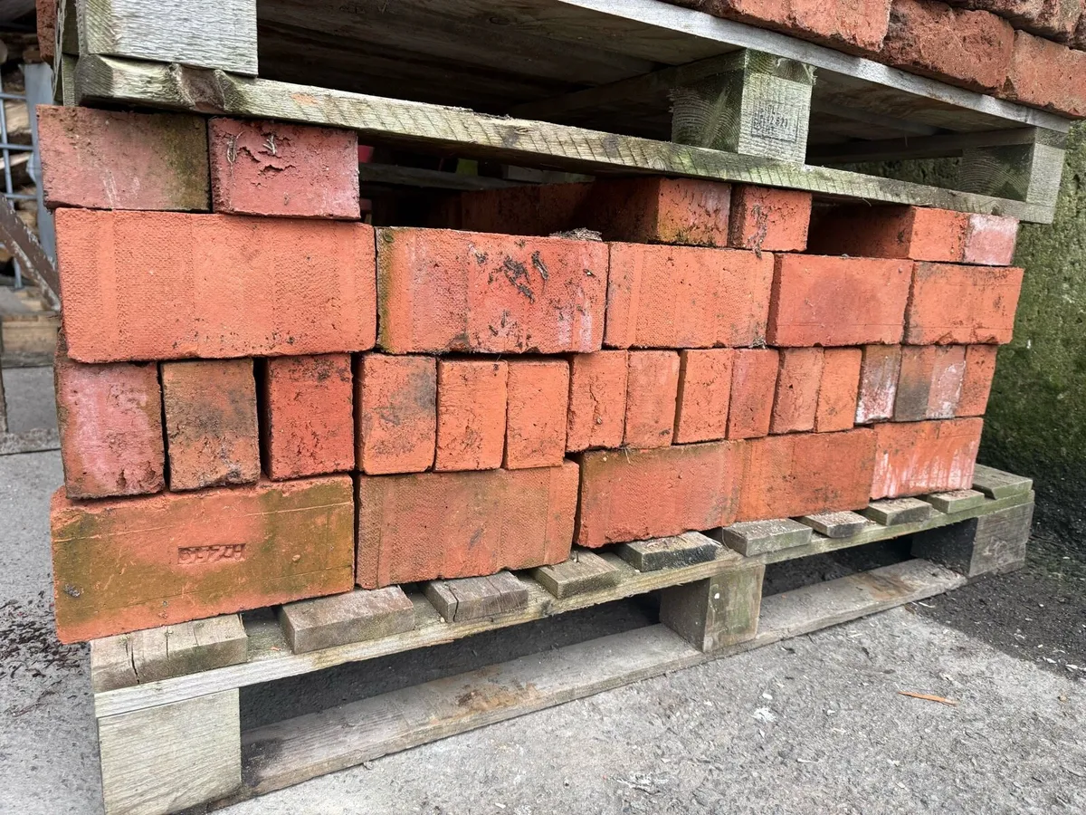 Over 200 clay brick . - Image 3