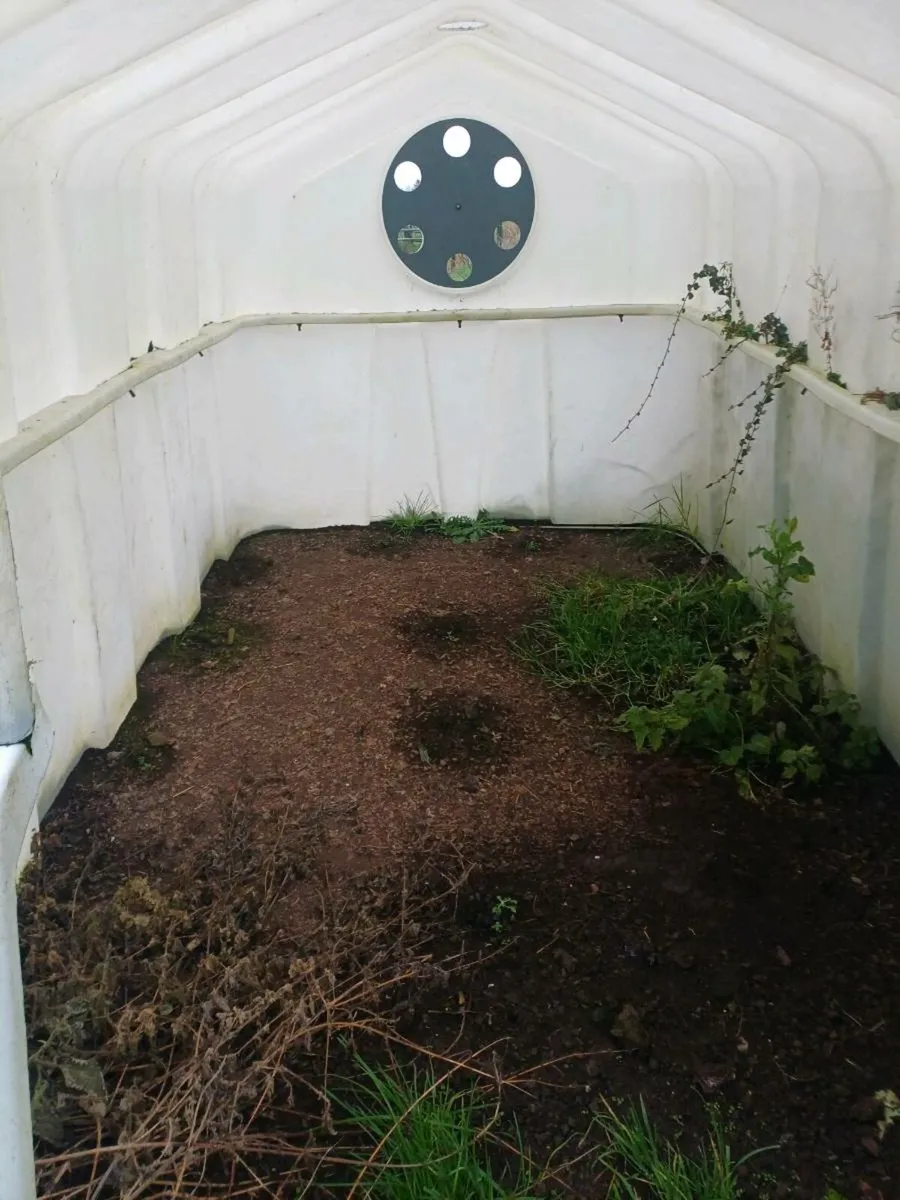 Jfc calf hutches for sale - Image 3