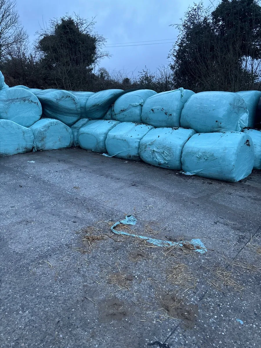 Top quality bales of silage