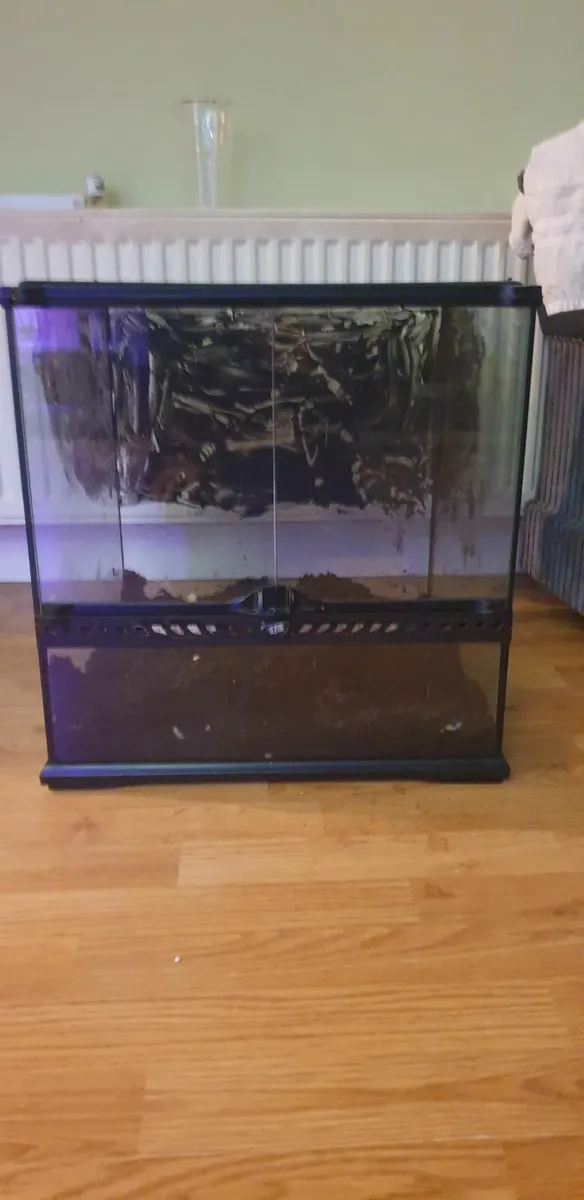 Exo terra vivarium - Image 2