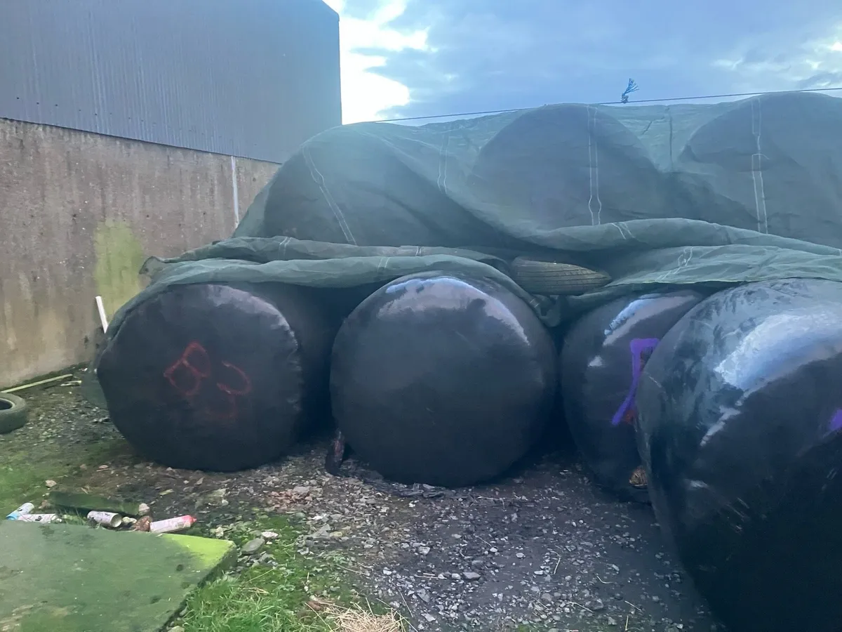 Silage Round bales - Image 1
