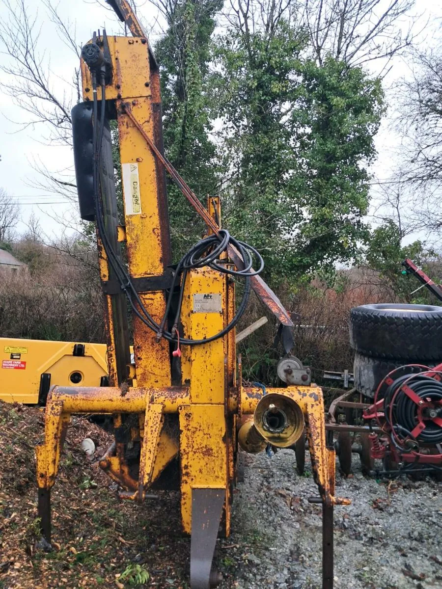 Yard clear out - Image 1