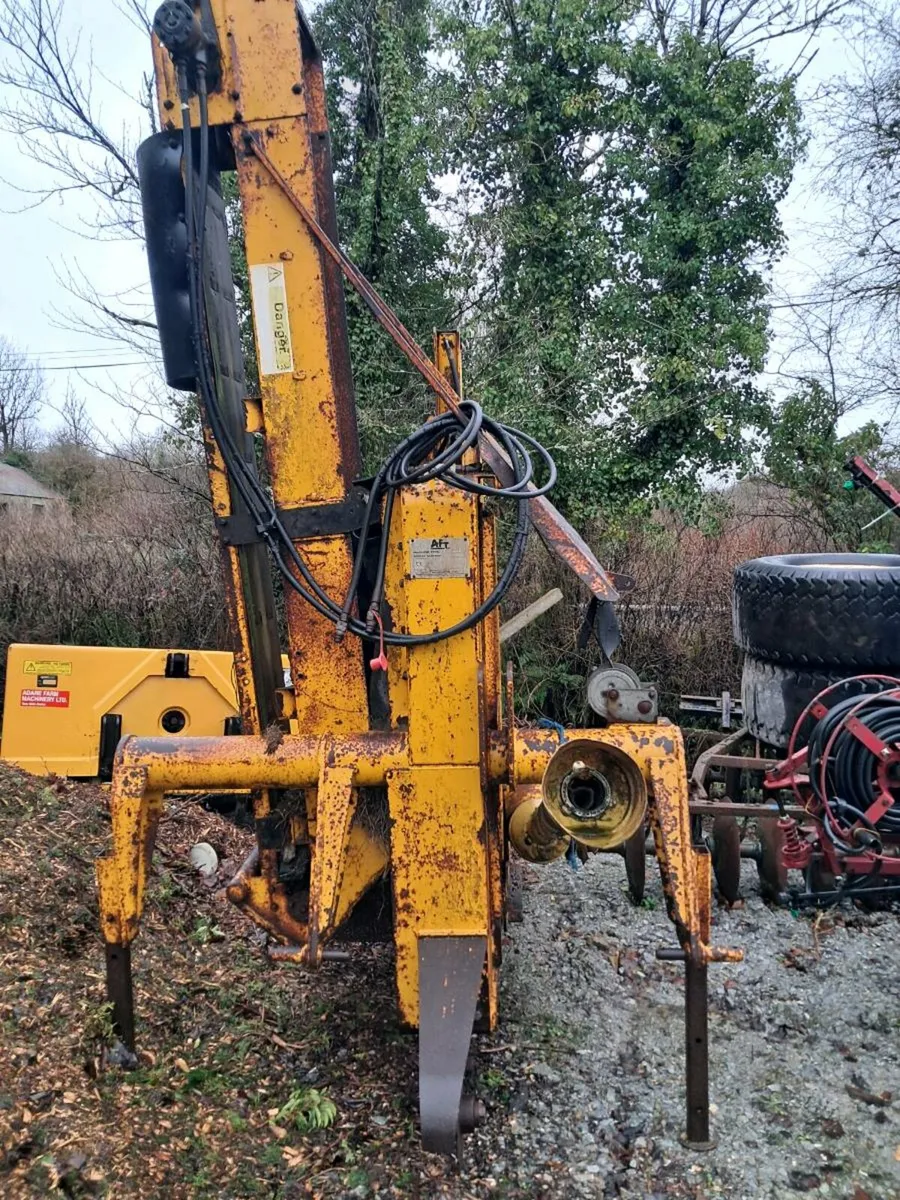 Yard clear out - Image 3