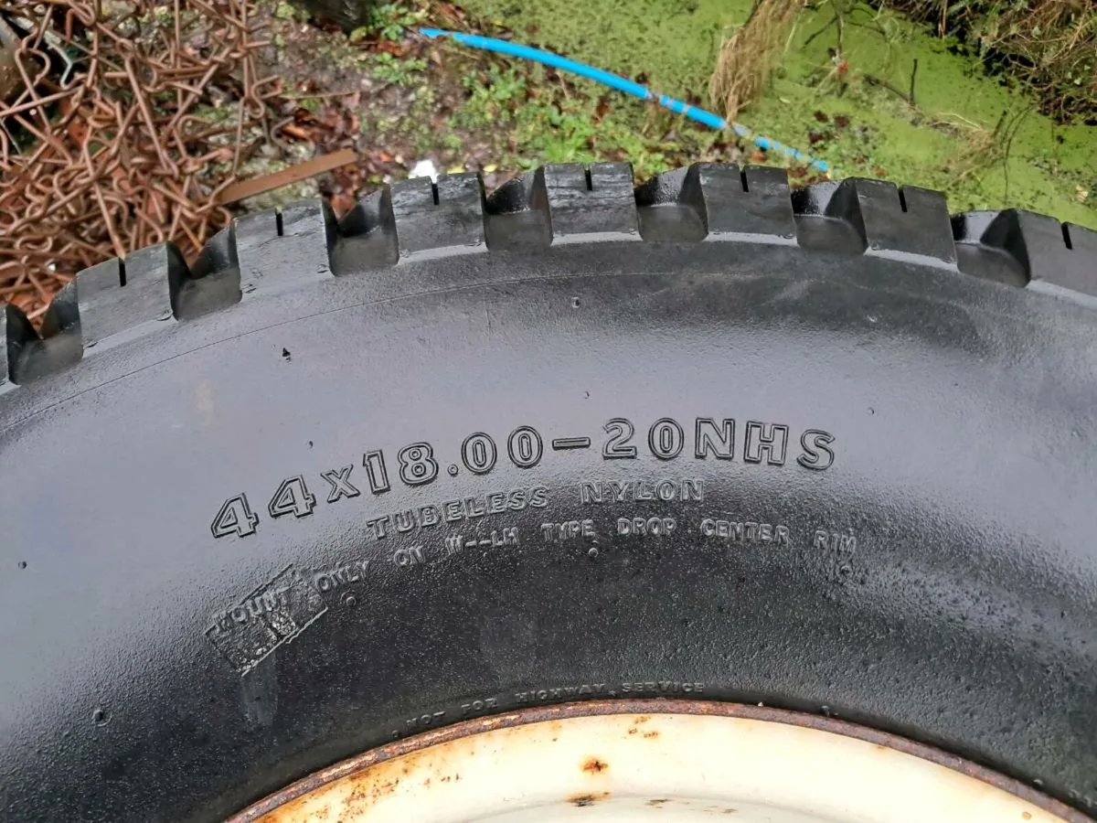 Yard clear out - Image 4