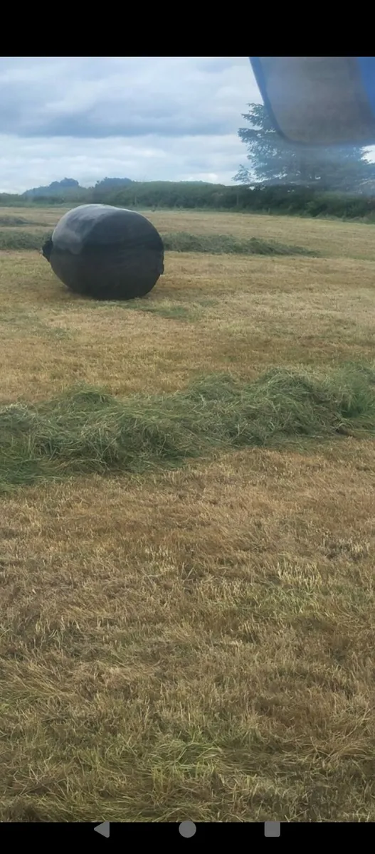 Silage - Image 3