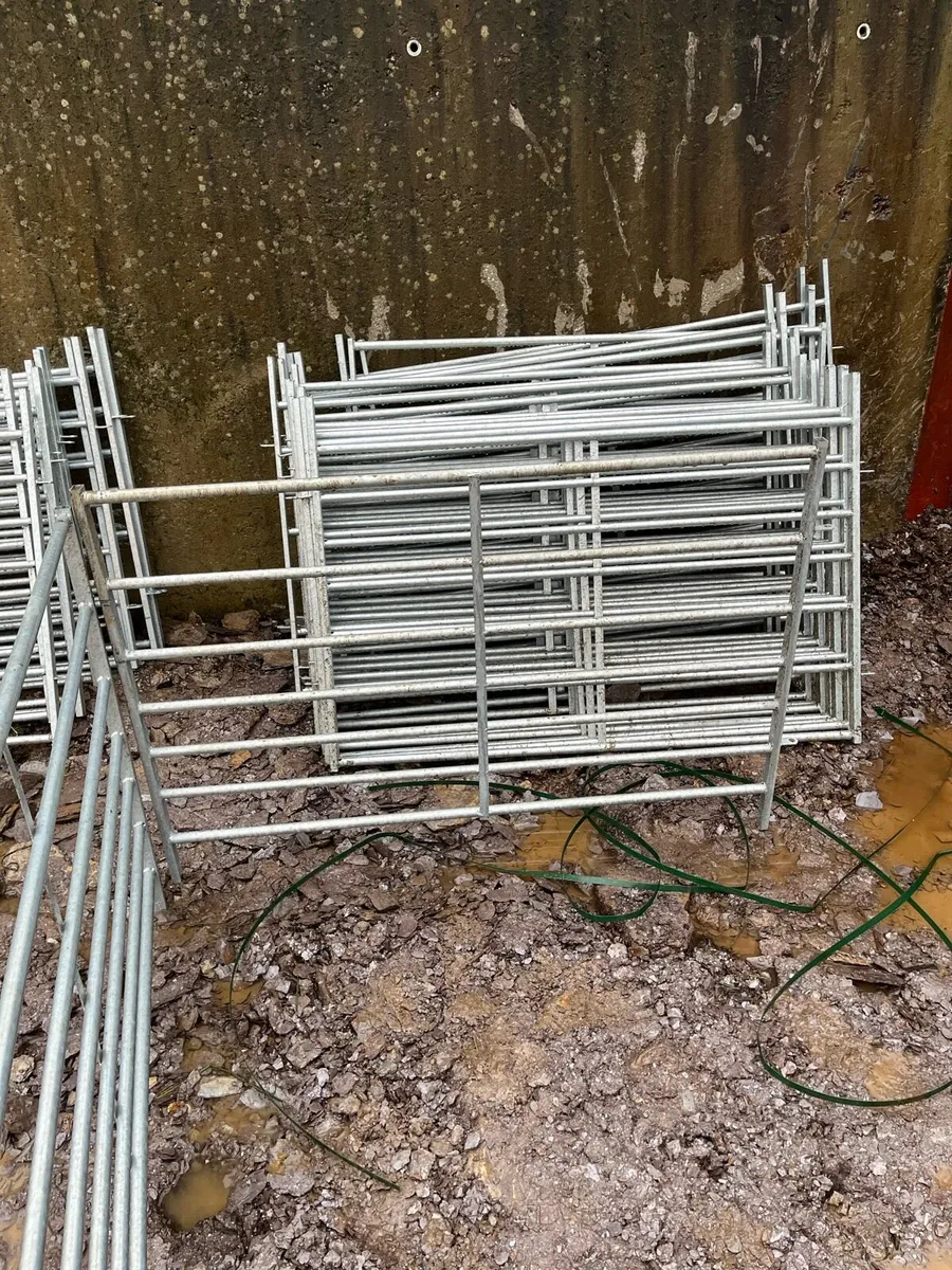 5ft sheep gates - Image 1