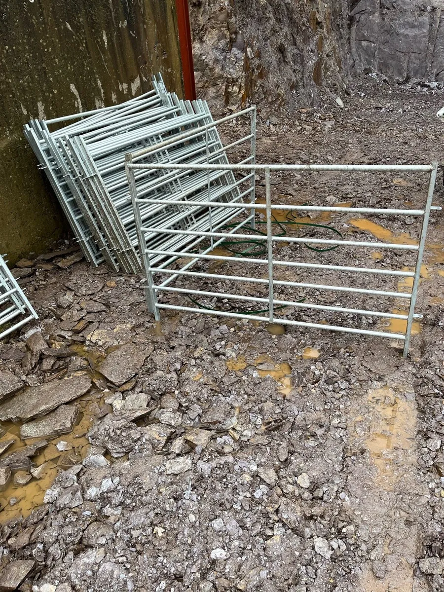 5ft sheep gates - Image 2