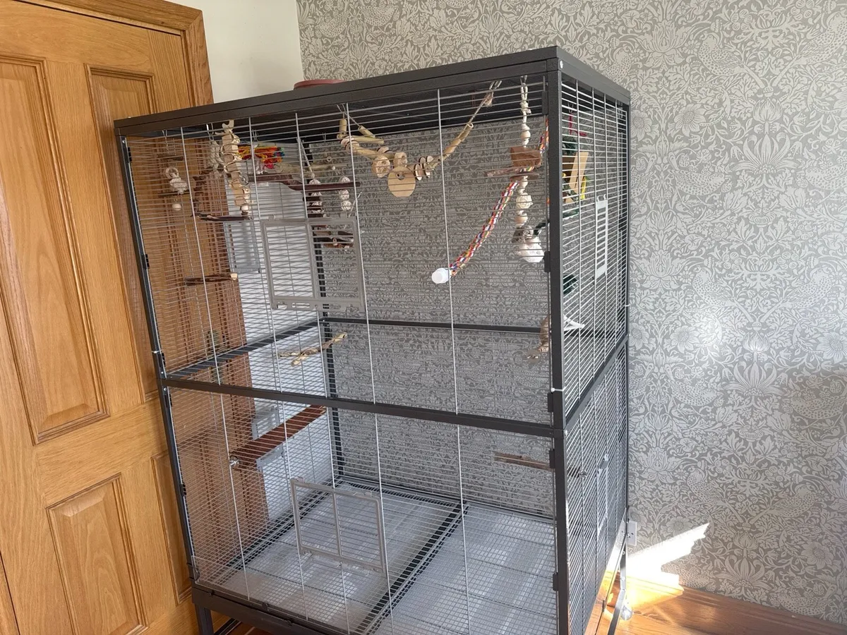 lovebirds and large cage 2 smaller cages seperatly - Image 2