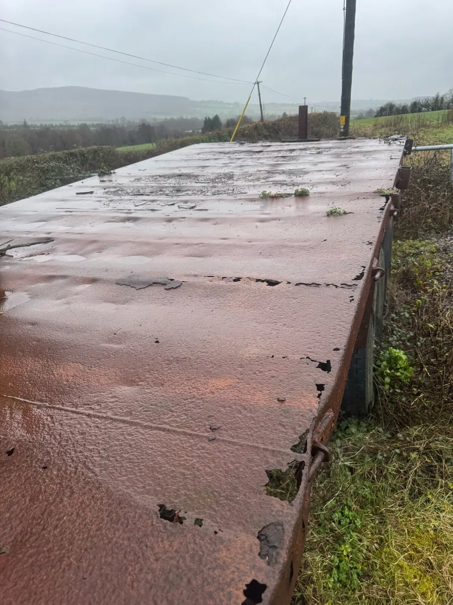 Twin Axle Trailer - Image 2