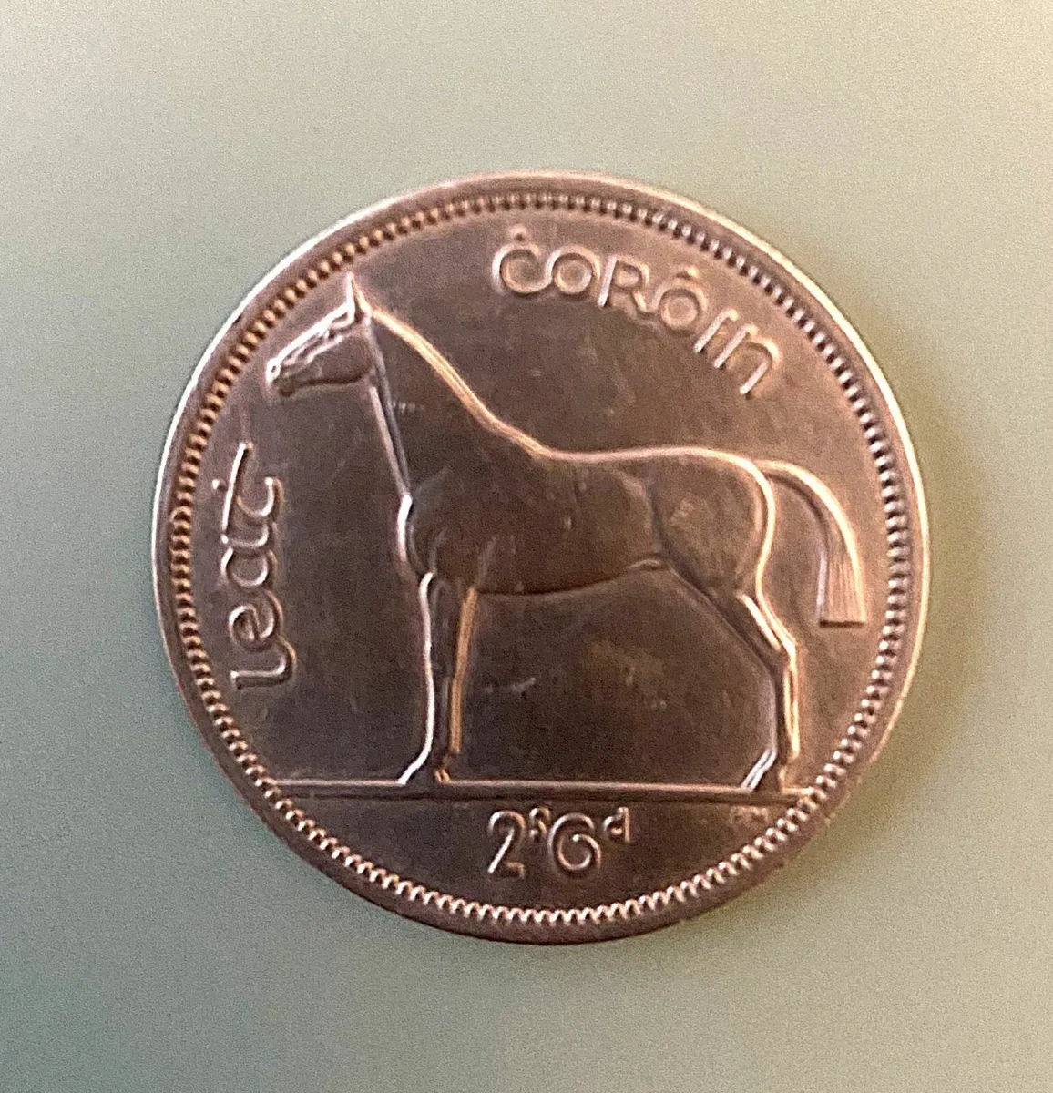 An Irish Hunter From 1964, Free Post - Image 1