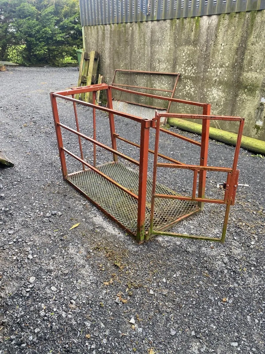 Foster crate - Image 3