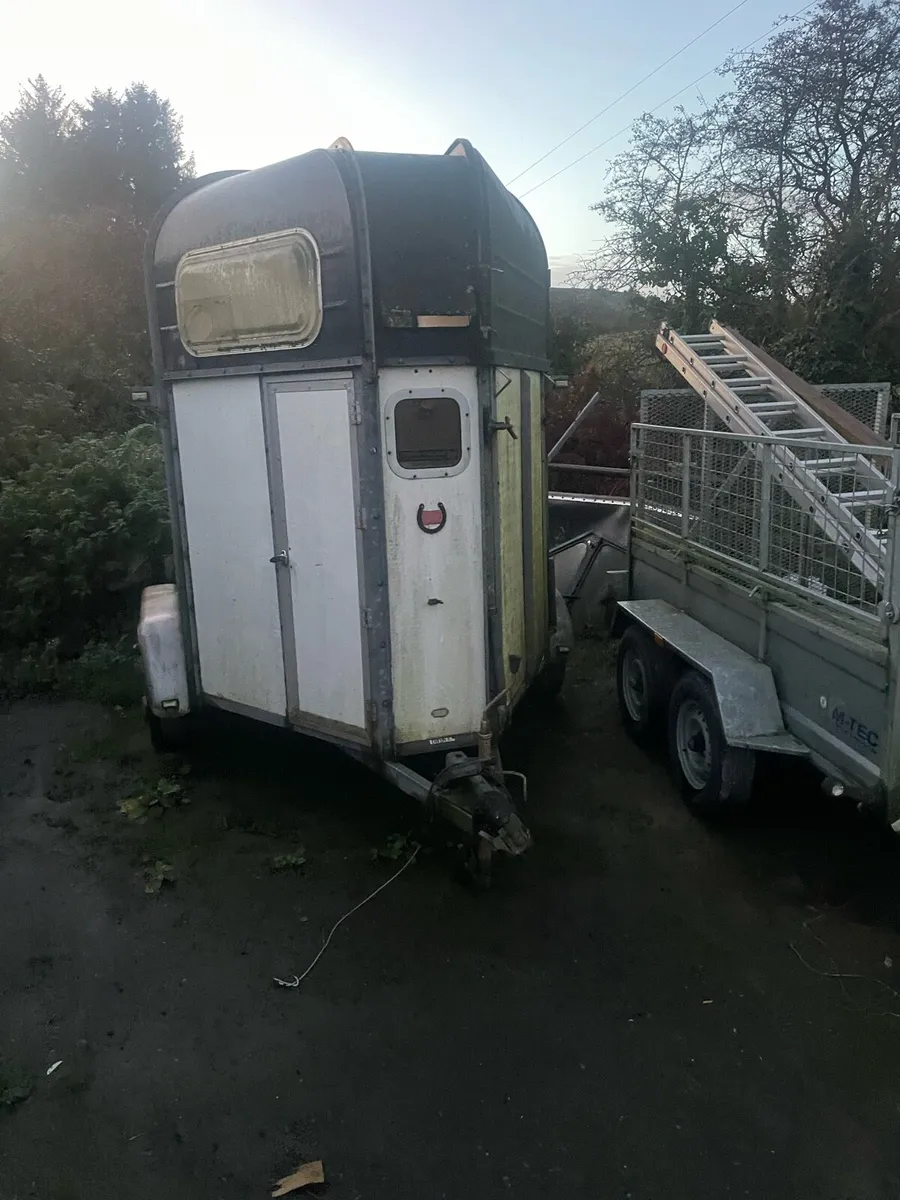 Rice horse box - Image 2