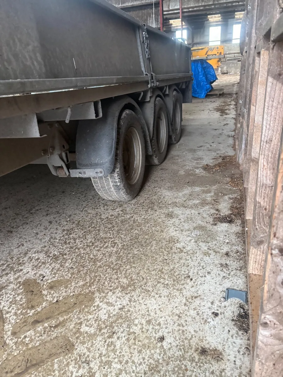 Ivor William - Image 3