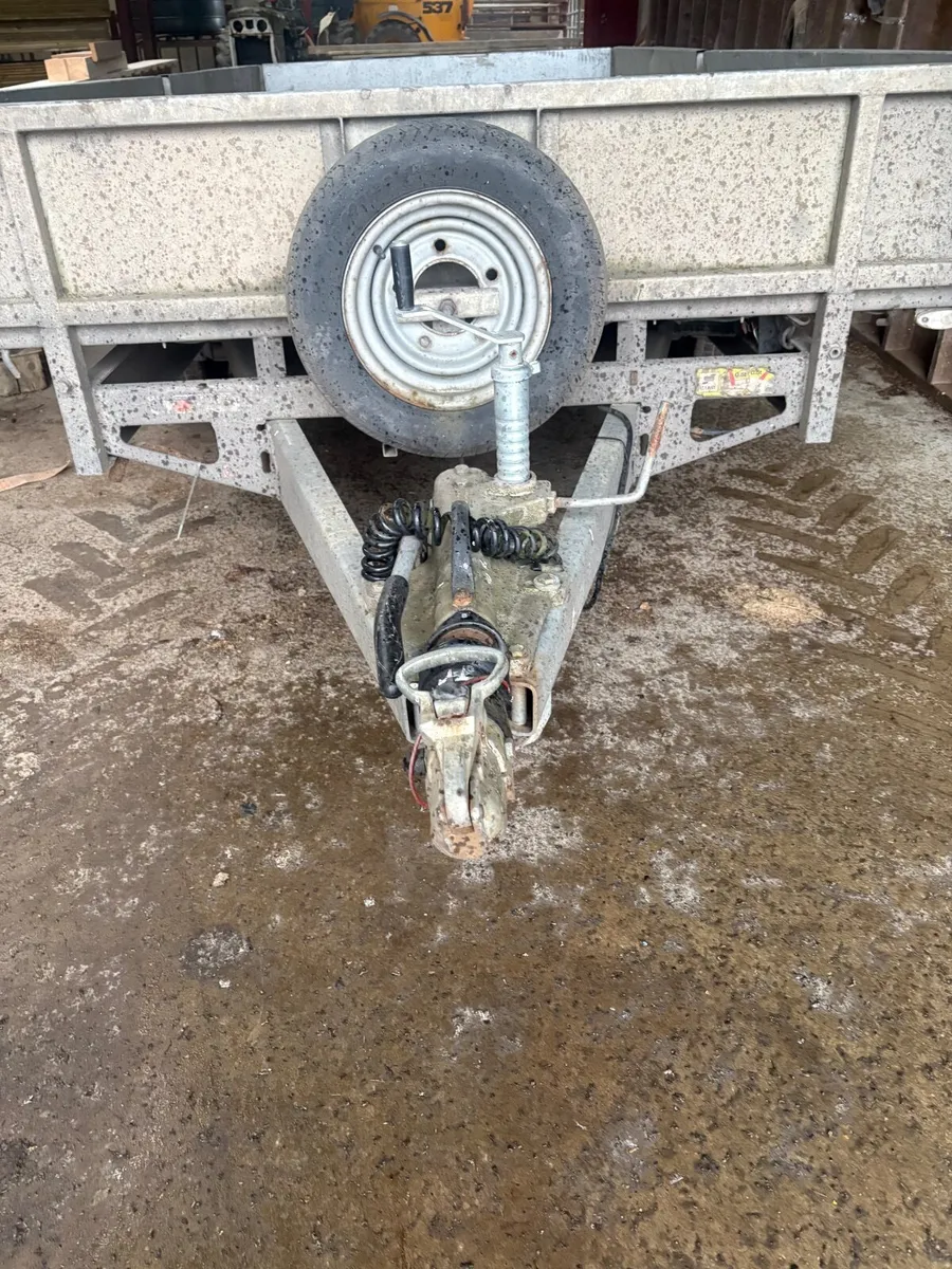 Ivor William - Image 4