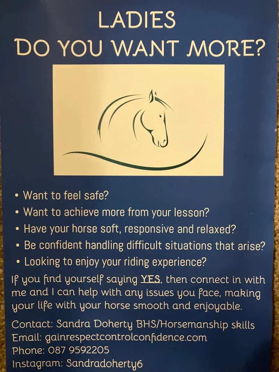 Horse and human partnership