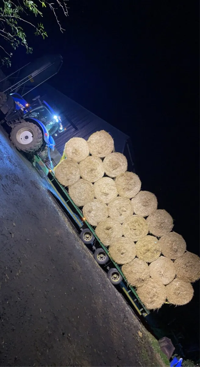 Barley straw - Image 1