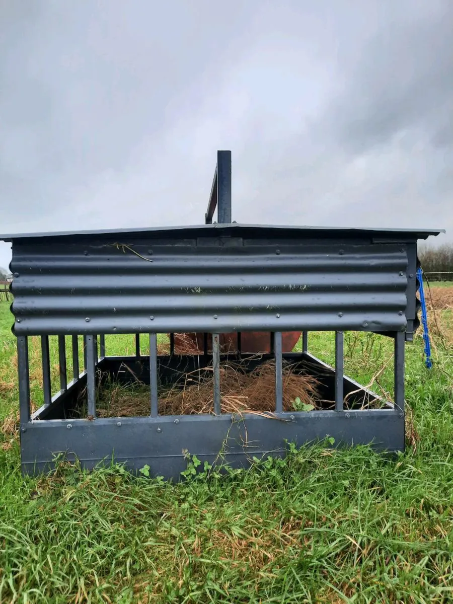 Sheep equipment - Image 1