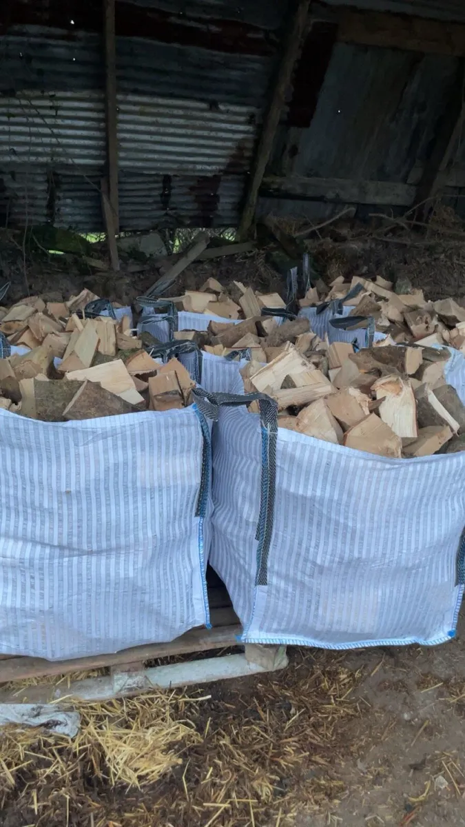 🔥🔥 Ash Firewood 🔥🔥 - Image 1