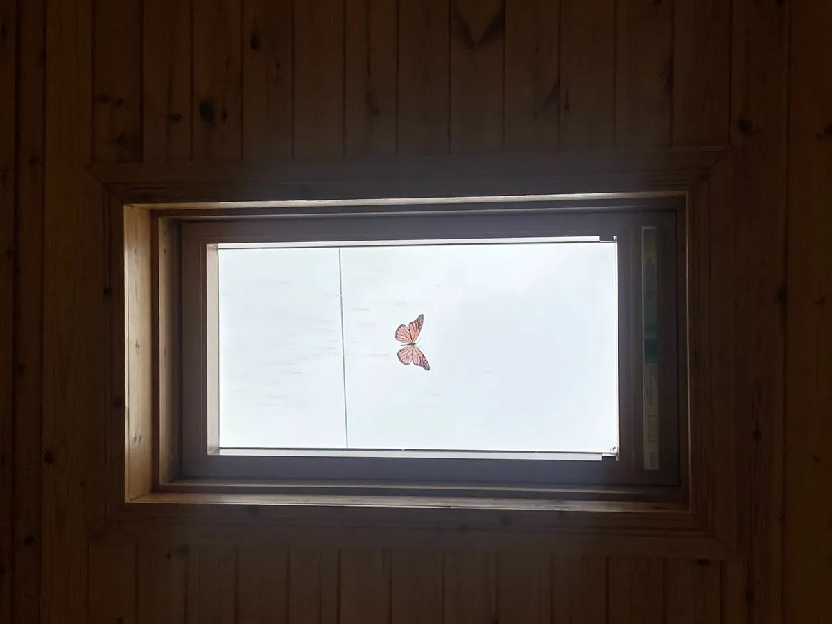 velux windows - Image 1