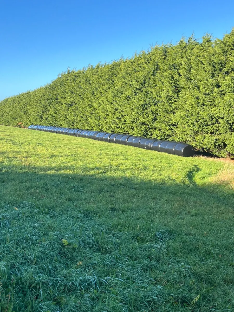 Silage bales north county Dublin