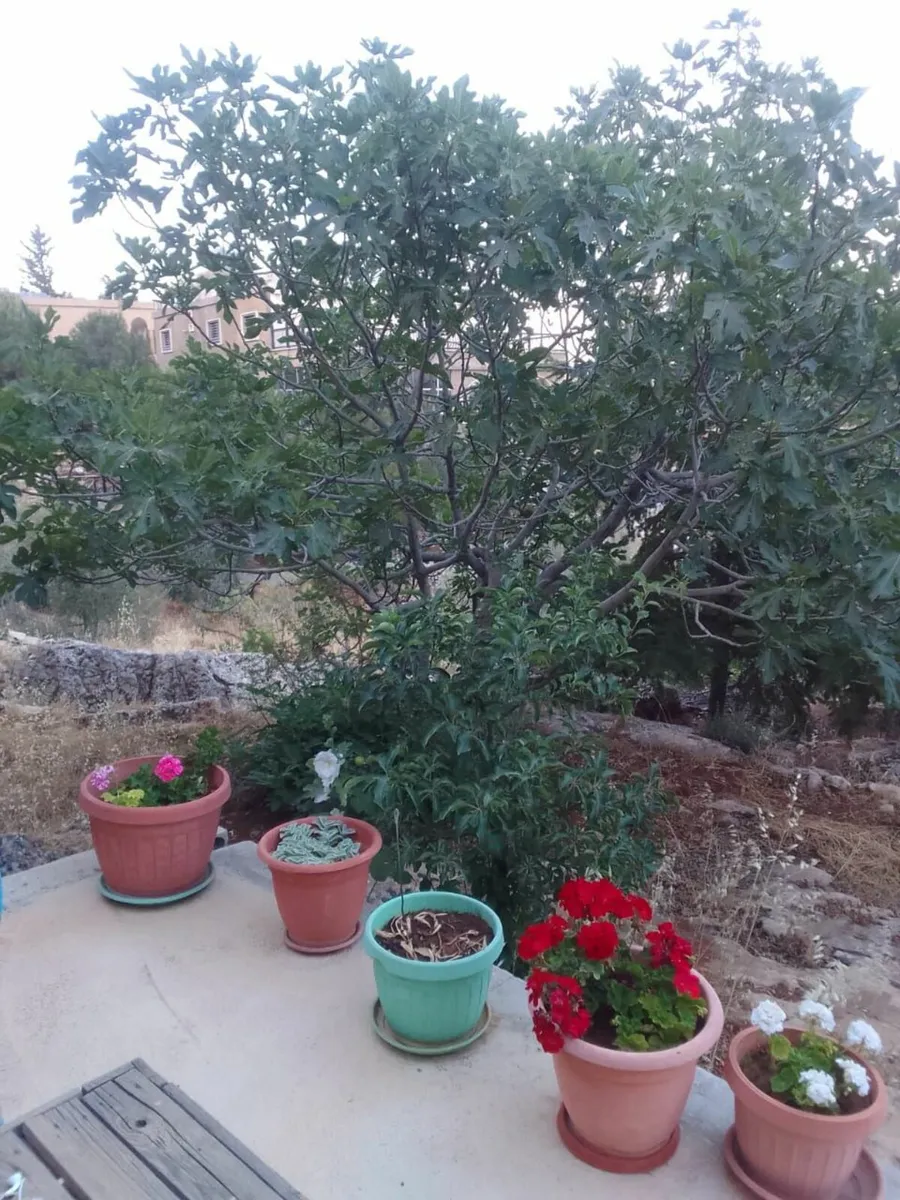 Handyman Services Dublin/ Meath/ Louth/Cavan - Image 2