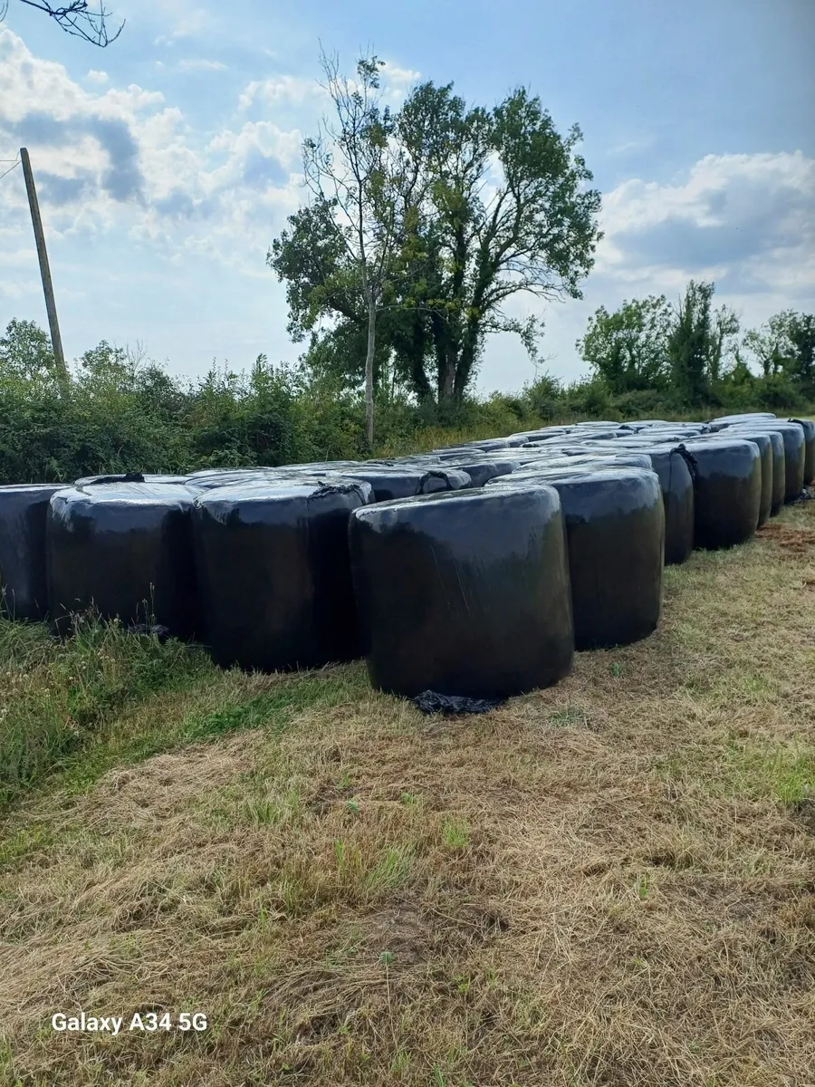 Silage Bales - Image 3