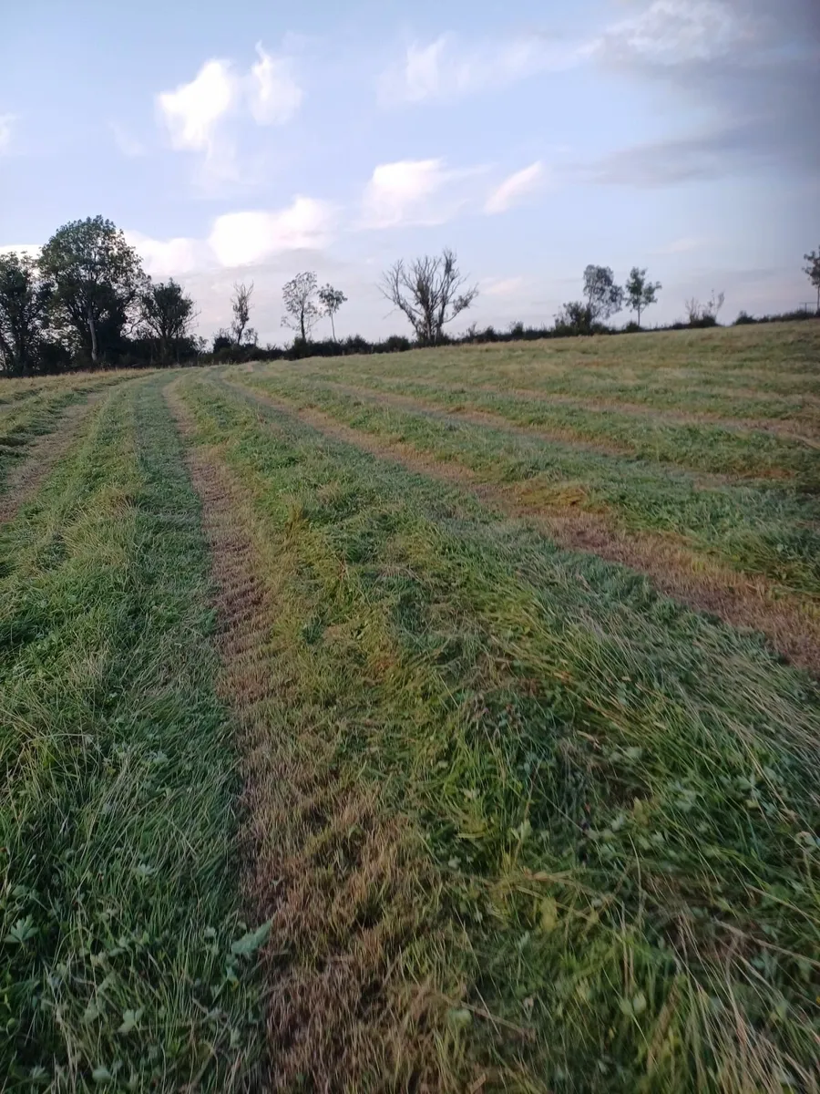 Silage Bales - Image 4