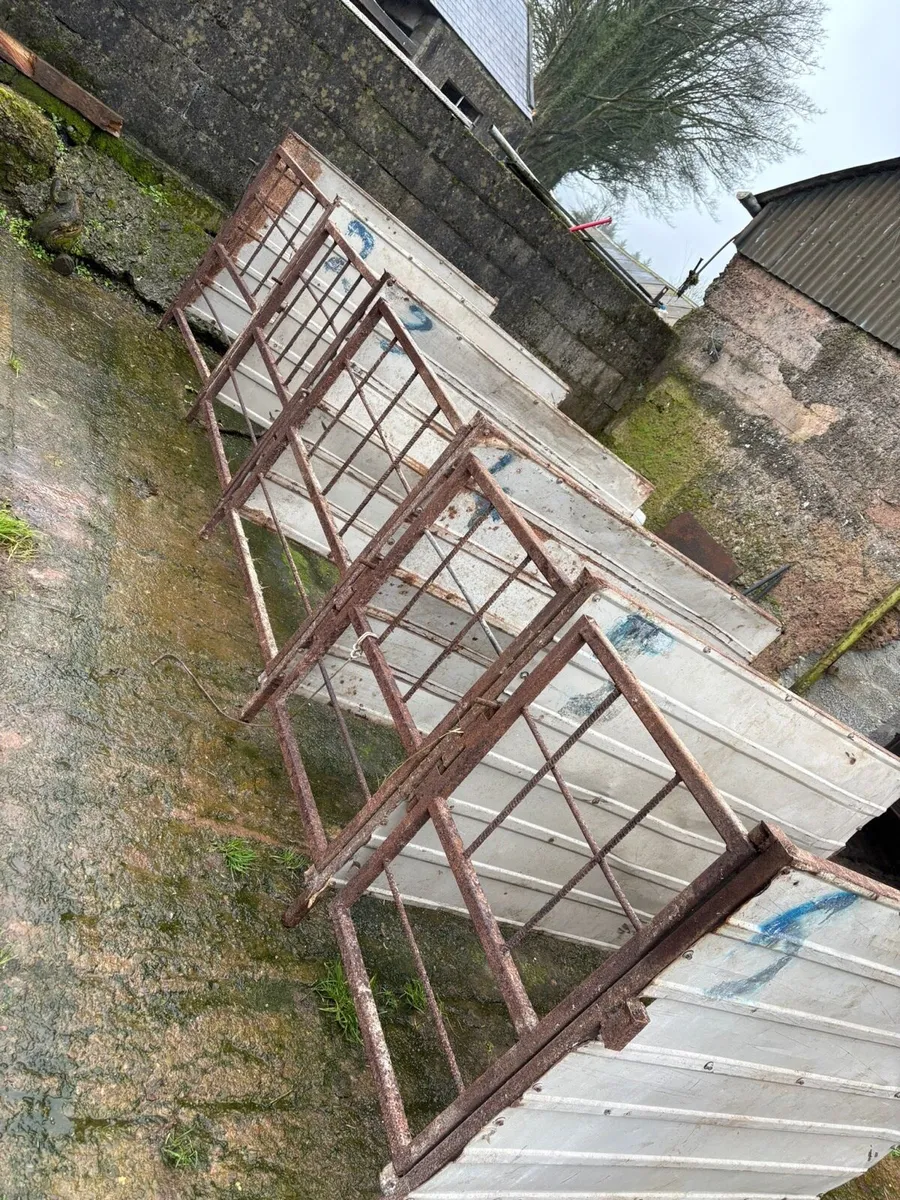 Calf pens - Image 1