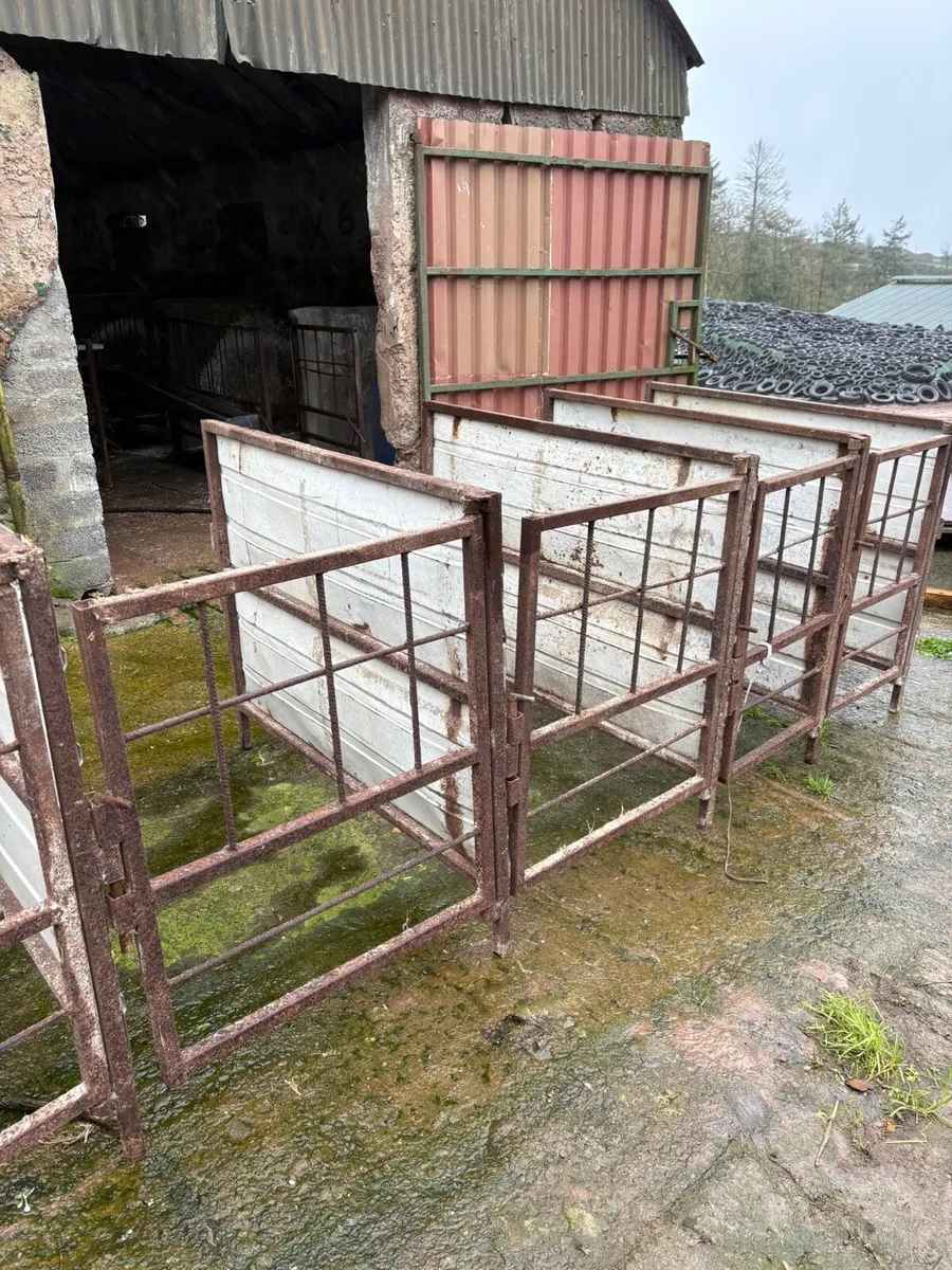 Calf pens - Image 2
