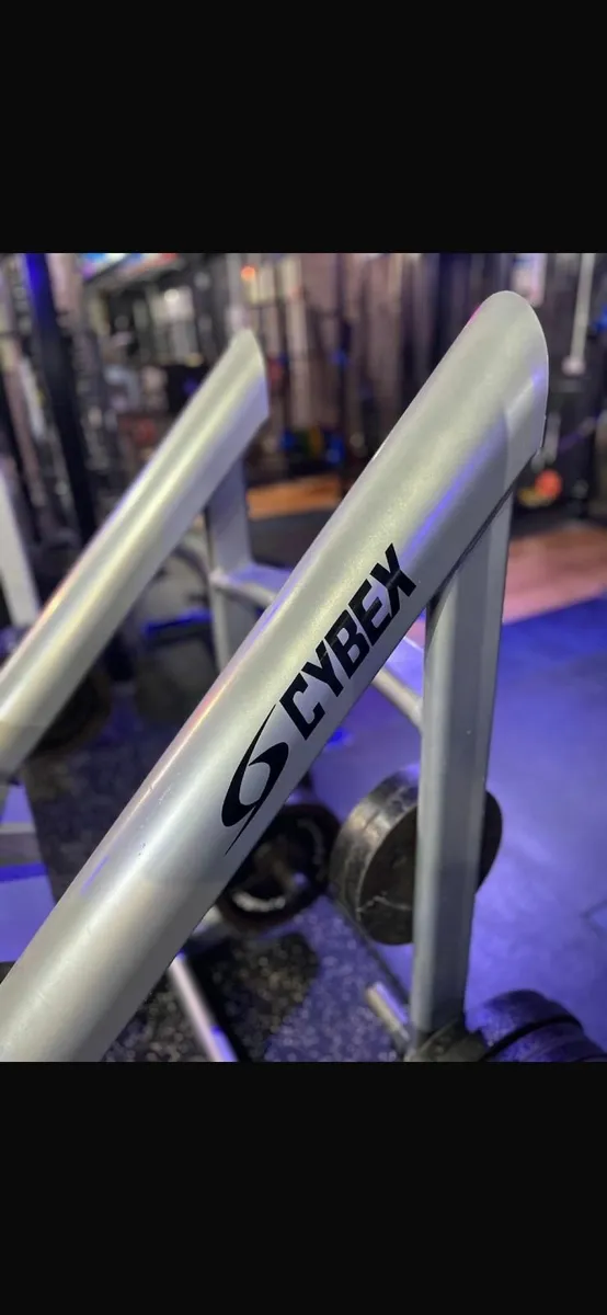 Cybex MK2 Leg press - Image 3