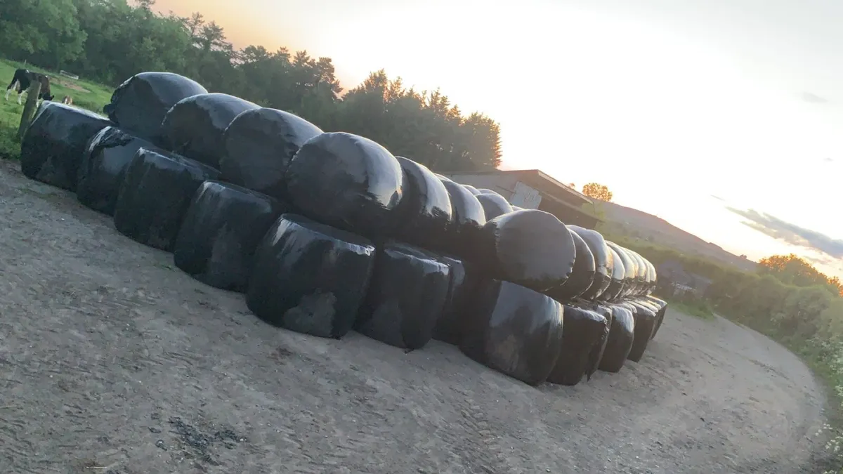 100 bales of silage