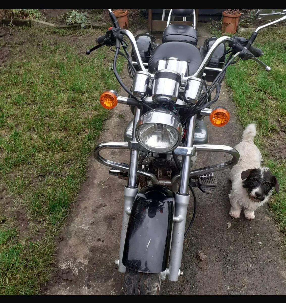 125cc Motorcycle - Image 2