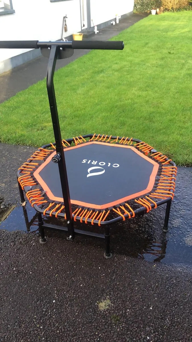 Cloris Rebounder - Image 1