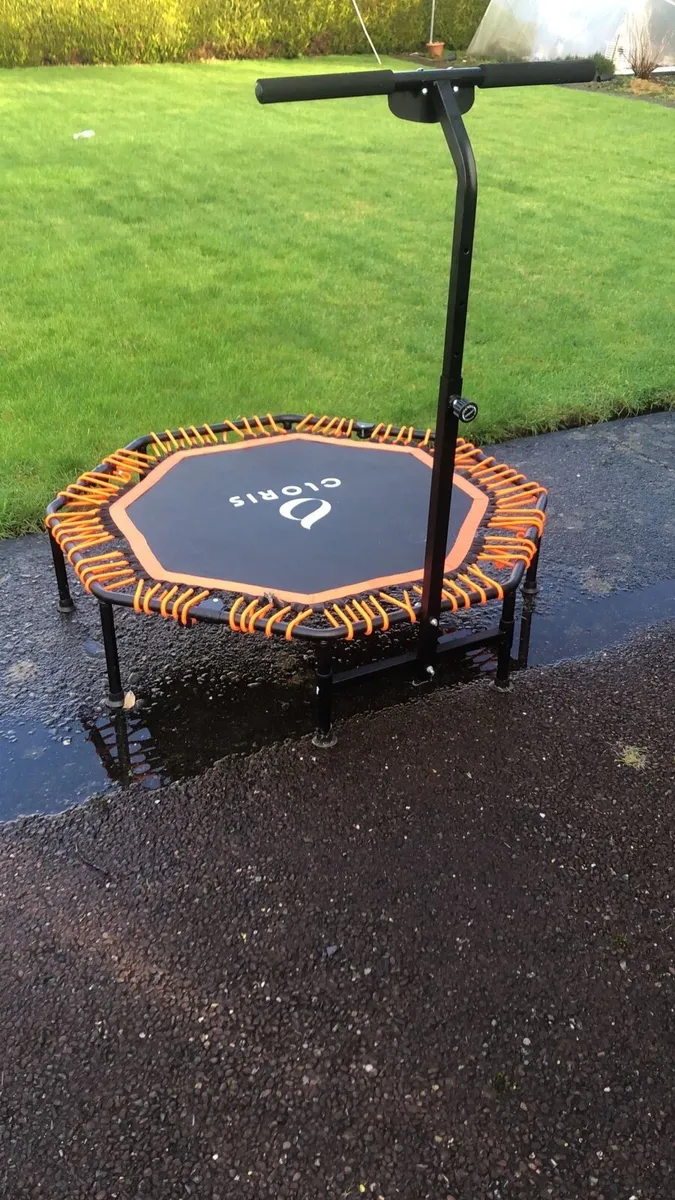 Cloris Rebounder - Image 3