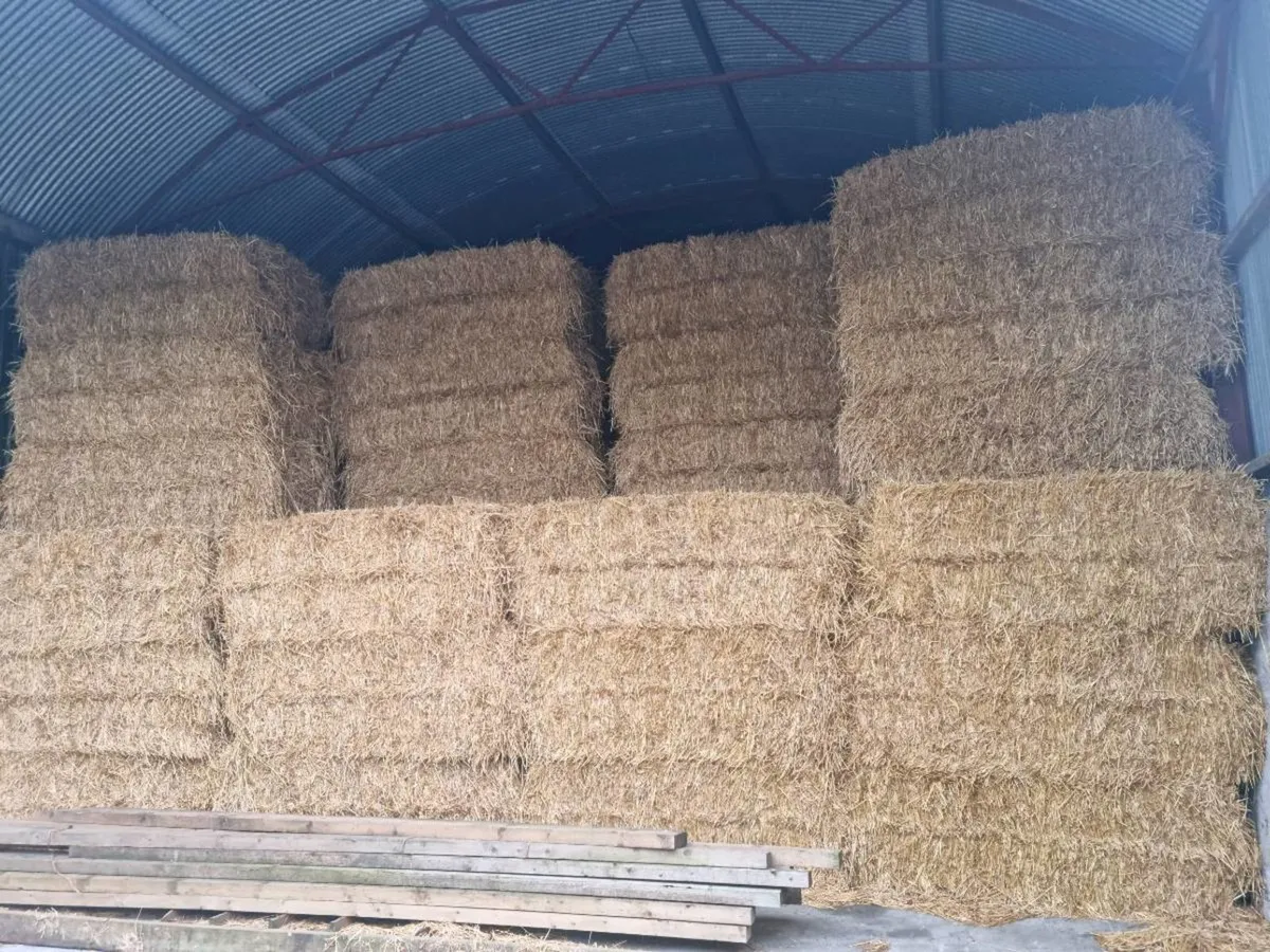 Barley and Wheaten straw - Image 4