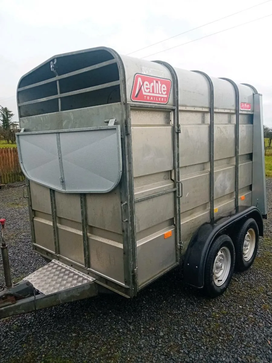 JIM MURPHY TRAILER - Image 2