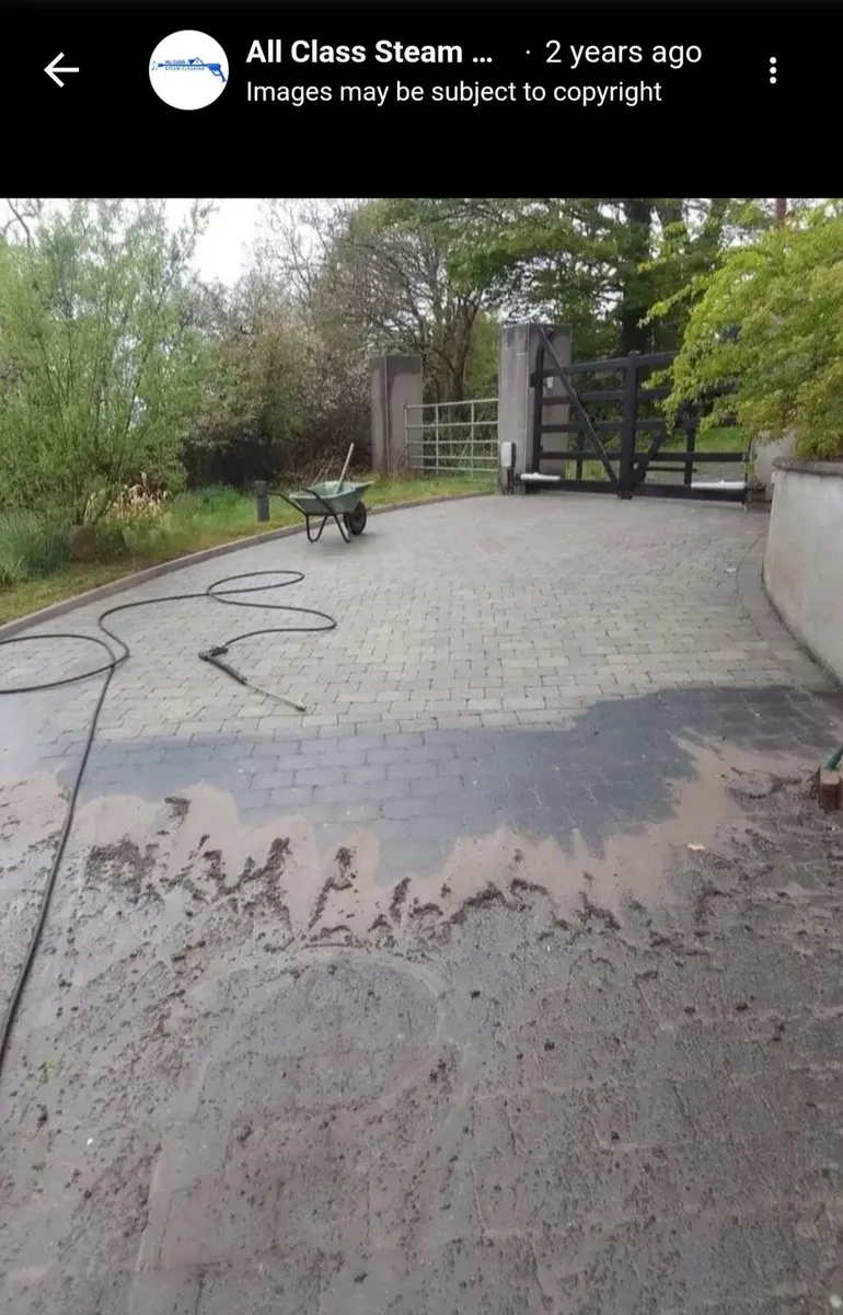 All Class steam cleaning& garden service - Image 2